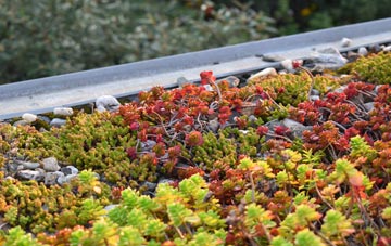 the cost of Old Lindley green roof installation