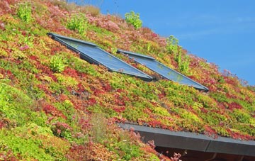 Old Lindley living roof systems