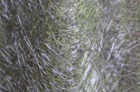 Old Lindley fibreglass roof work